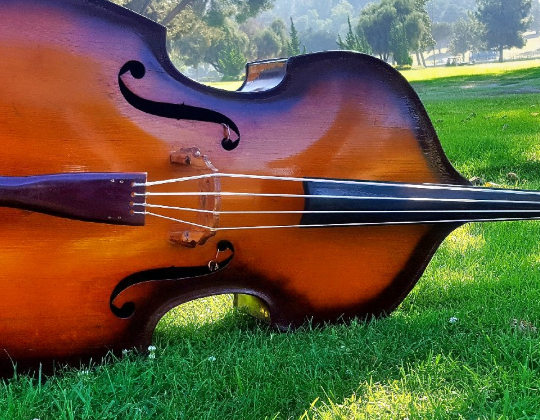 Chirrines Con Tololoche