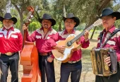 Chirrines con Tololoche en Los Ángeles – Música en vivo